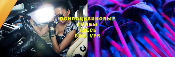 spice Абаза