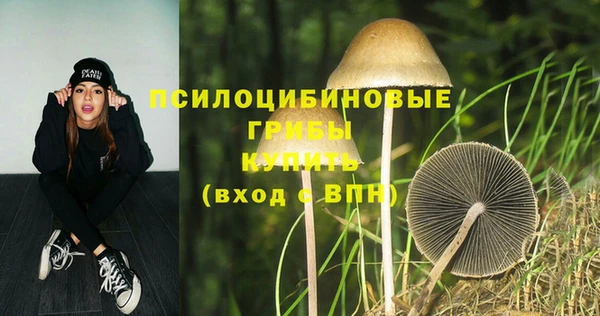 марихуана Абинск