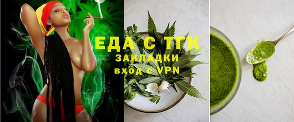 индика Слюдянка